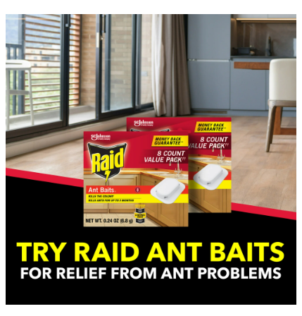 Raid Ant Baits III, Indoor Ant Inse Count Killer Traps, 0.24 oz, 8 Count